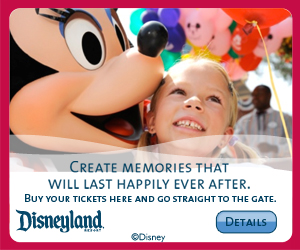 SO48160_300x250_Minnie_Static_Web_Banner Disneyland