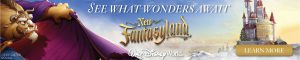 WDW-NFL-Web-Banner-Beast-600x120 Walt Disney World Quote Request