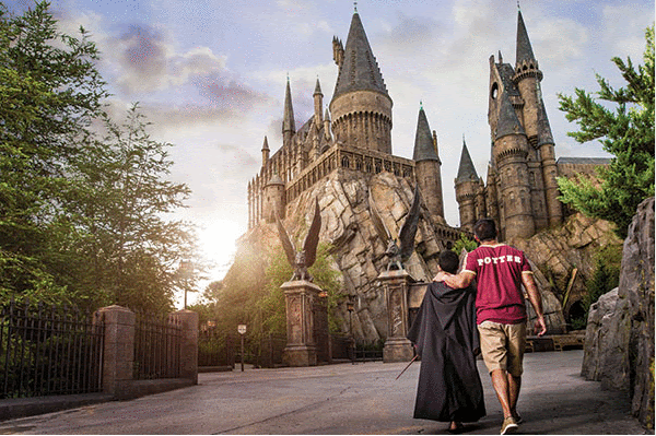 Harry Potter Package 600x399 